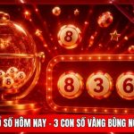 Kết Quả Xổ Số Hôm Nay - 3 Con Số Vàng Bùng Nổ Tại BJ888