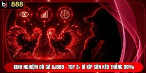 Kinh Nghiệm Đá Gà BJ888 - Top 3+ Bí Kíp Săn Kèo Thắng 90%